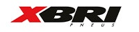 XBRI